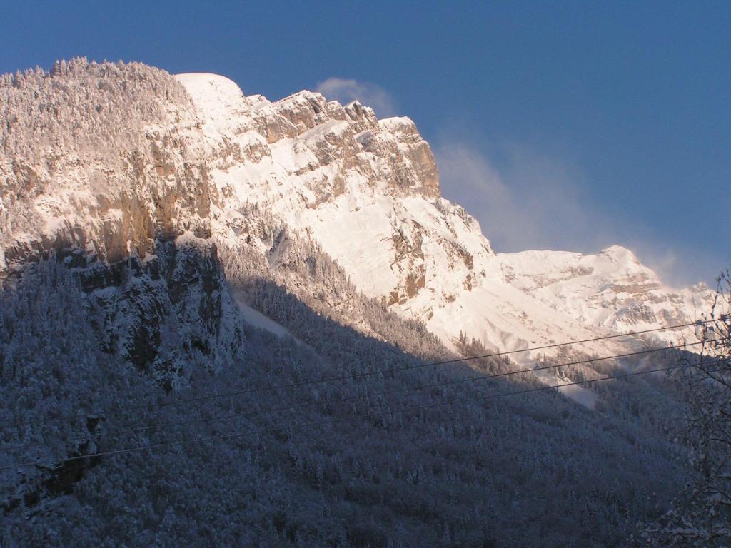 Chalet Narcisse Sixt الغرفة الصورة